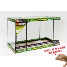 Glas Terrarium 80x40x50cm