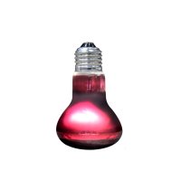 Arcadia Infrarood Warmtespot 75W