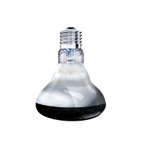 Arcadia Solar Basking Spotlight 150W