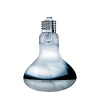 Arcadia 2Nd Generation Uv Basking Lamp 100W