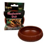 Mealworm Dish