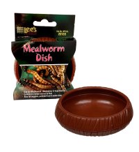 Mealworm Dish