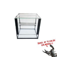 Glas Terrarium 20x20x20cm