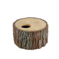 Reptielenschuilplaats boom - Medium