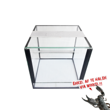 Glas Terrarium 25x25x25cm