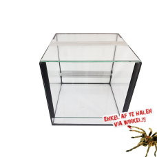 Glas Terrarium 30x30x30cm