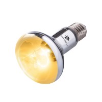 Basking Spot UVB - Sunbeam 75W