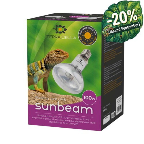 Basking Spot UVB - Sunbeam 100W
