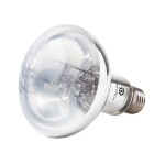Basking Spot UVB - Sunbeam 100W