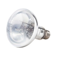 Basking Spot UVB - Sunbeam 100W