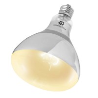 Basking Spot UVB - Sunbeam 125W