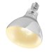 Basking Spot UVB - Sunbeam 125W