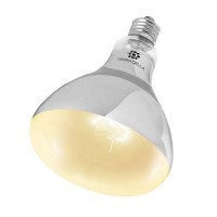 Basking Spot UVB - Sunbeam 160W