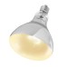 Basking Spot UVB - Sunbeam 160W