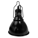 Lamphouder - Light Dome Small