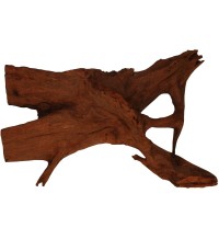 Mangrove XL 45-60cm