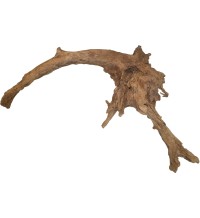 Mangrove XL 45-60cm