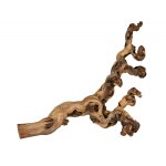 Druiventakken gezandstraald XL 55-80cm