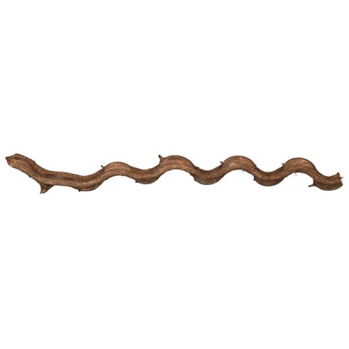 Lianen golvend 80-100cm