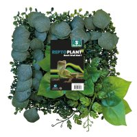 Repto Plant Achterwand Mat 25X25cm 1