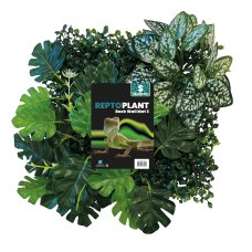 Repto Plant Achterwand Mat 25X25cm 3