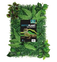 Repto Plant Achterwand Mat 40-60cm 1