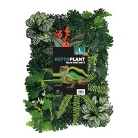Repto Plant Achterwand Mat 40-60cm 3