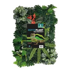 Repto Plant Achterwand Mat 40-60cm 3