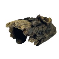 Repto Deco Wood Home Medium