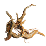 Finger Roots X-Small-Small tot 30cm