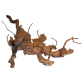 Finger Roots Medium-Large tot 50cm
