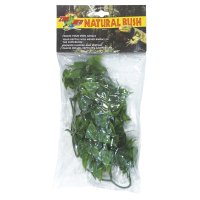 Natural Bush Plant - Mexican Phyllo 56cm