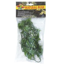 Natural Bush Plant - Mexican Phyllo 46cm