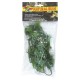 Natural Bush Plant - Mexican Phyllo 56cm