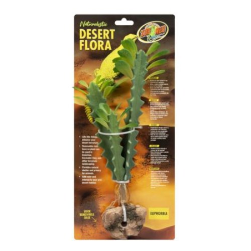 Desert Flora – Euphorbia