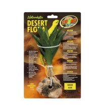 Desert Flora – Green Aloe