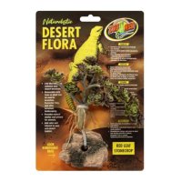 Desert Flora – Red Leaf Stonecrop