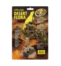Desert Flora – Red Leaf Stonecrop