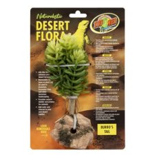 Desert Flora – Burro’s Tail