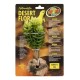 Desert Flora – Burro’s Tail