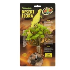 Desert Flora – Tree Houseleek