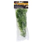Natural Bush Plant - Australian Maple 56cm