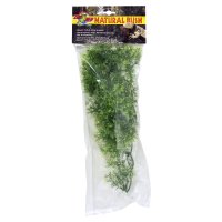Natural Bush Plant - Australian Maple  36cm