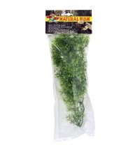 Natural Bush Plant - Australian Maple  46cm