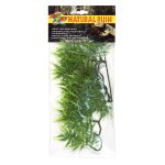 Natural Bush Plant - Madagascar Bamboo 56cm