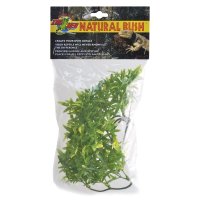 Natural Bush Plant - Bolivian Croton 36cm