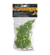 Natural Bush Plant - Bolivian Croton 46cm