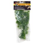 Natural Bush Plant - Borneo Star 56cm
