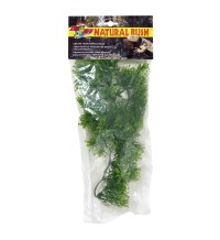 Natural Bush Plant - Borneo Star 56cm