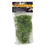 Natural Bush Plant - Cannabis 56cm